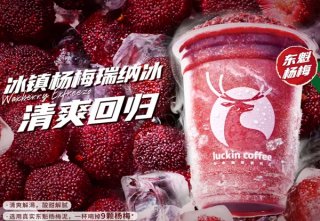 瑞幸咖啡加盟店高人气吸引投资者关注